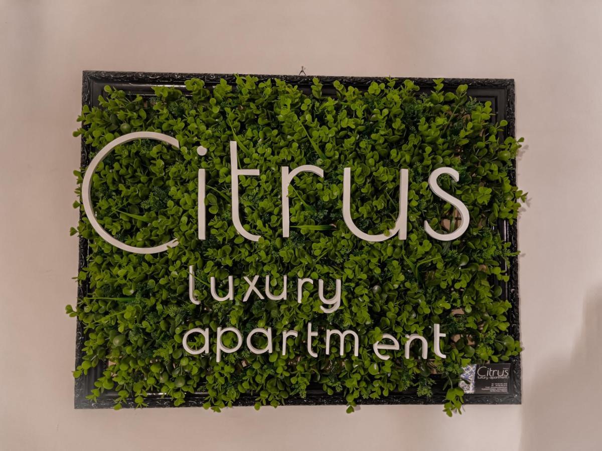 Citrus Luxury Apartment - Holiday Apartment With Up To 3 Bedrooms In Palermo Center Exteriör bild